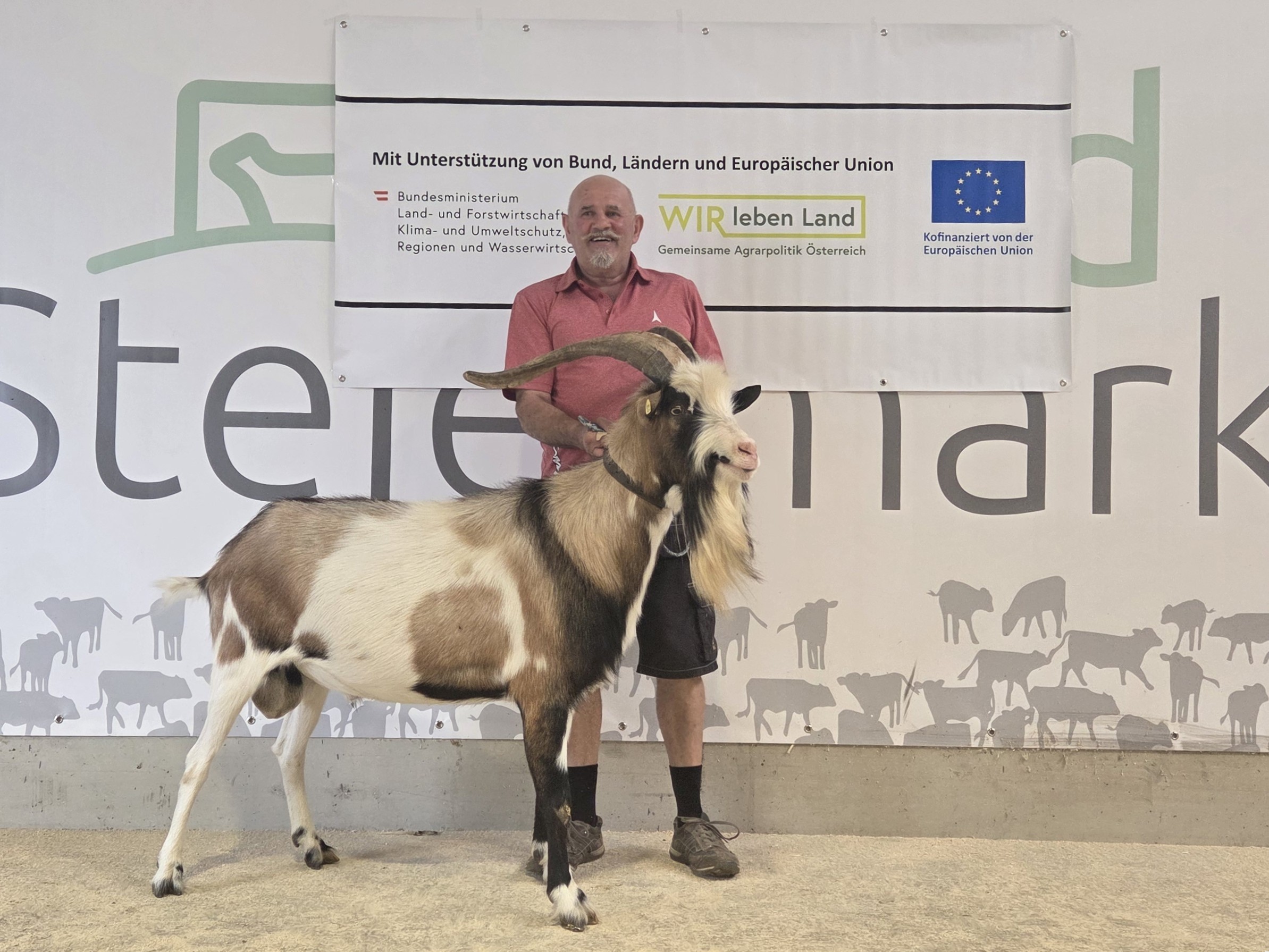 Kat. Nr. 1 - AT 570.989.480 "LENZ", geb. 25.01.2023, T:8 R:8 Fo:7 Fu:6 B:7, Ib, Feuchter Doris, Predlitz