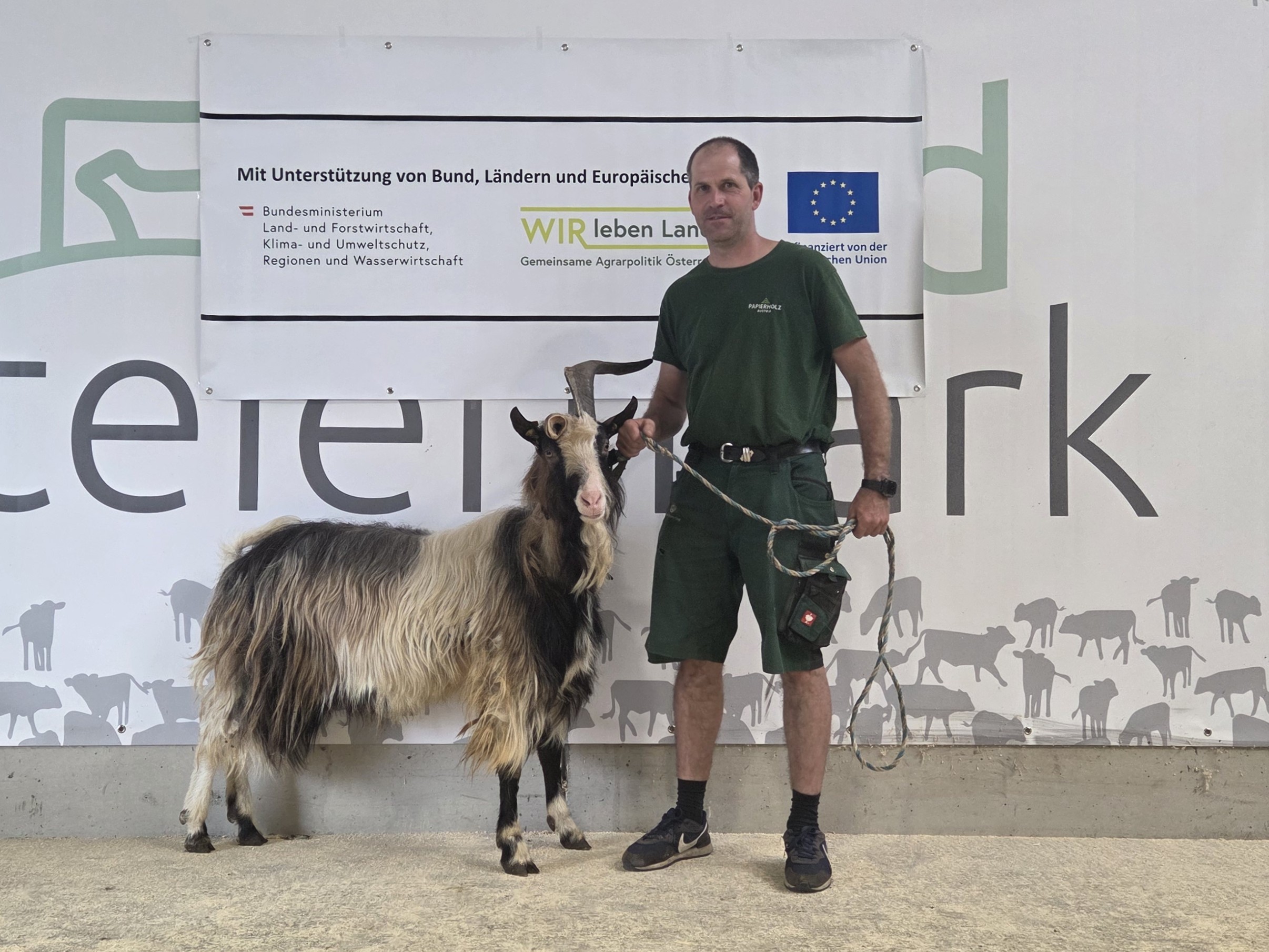 Kat. Nr. 2 - AT 10.452.977.280 "F-Pan", geb. 27.02.2023, T:8 R:7 Fo:7 Fu:6 B:6, Ib, Fohsl Johann, Kindberg